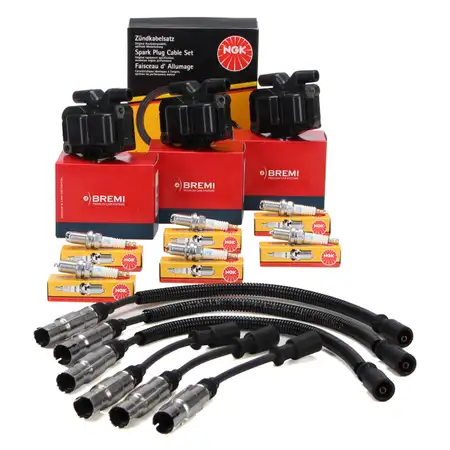 3x BREMI Z&uuml;ndspule + NGK Z&uuml;ndkabelsatz + 6x NGK Z&uuml;ndkerze f&uuml;r SMART 450 0.6 45-71 PS