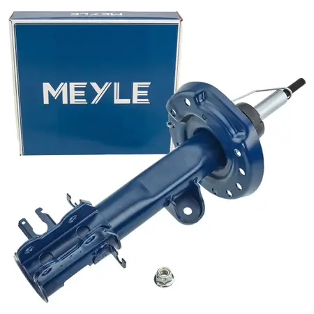 MEYLE 2266230025 Sto&szlig;d&auml;mpfer Federbein f&uuml;r FIAT 500L vorne links 51962119