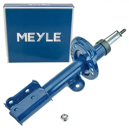 MEYLE 2266230027 Sto&szlig;d&auml;mpfer Federbein f&uuml;r FIAT 500X JEEP Renegade vorne links