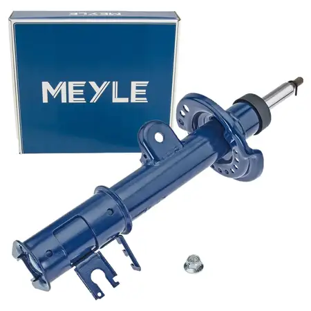 MEYLE 2267230002 Sto&szlig;d&auml;mpfer Federbein f&uuml;r FIAT 500X 334 JEEP Renegade SUV hinten links