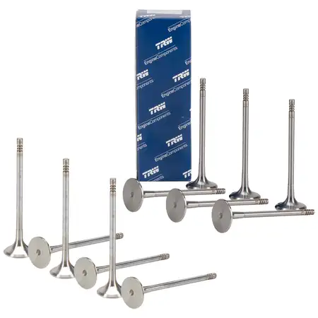 6x TRW Einlassventil + 6x Auslassventil f&uuml;r BMW F20 F21 F40 F45 F46 X1 X2 MINI F55 F56 B37
