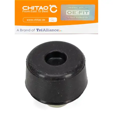 CHITAO CT89934 T&uuml;rfeststeller T&uuml;rfangband f&uuml;r BYD Atto 3 EV vorne 10775333-00