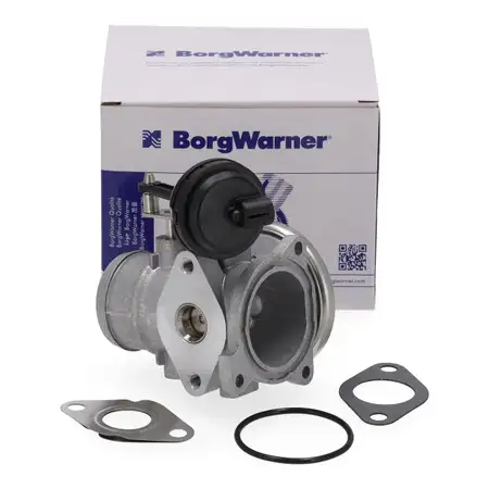 BORGWARNER 7241D AGR-Ventil + Dichtung f&uuml;r VW Passat B5 Sharan AUDI A4 1.9 TDI 038131501AQ