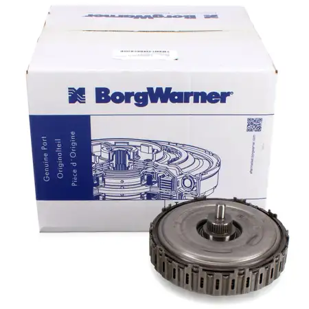 BORGWARNER 202153 Rep.-Satz Kupplungssatz f&uuml;r VAG 6-Gang DQ250 Getriebe 02E398029B