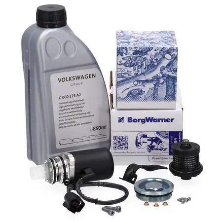 BORGWARNER Pumpe Haldex Vorladepumpe + &Ouml;lfilter 850mL &Ouml;l f&uuml;r VW Multivan Transporter T5