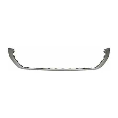 DIEDERICHS Zierleiste Sto&szlig;stange Sto&szlig;f&auml;nger silber matt f&uuml;r VW T-Cross vorne 2GM806333 2UC