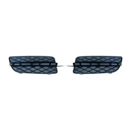 DIEDERICHS Blende Zierblende Gitter Sto&szlig;stange BMW X5 E70 vorne unten links 51117159593