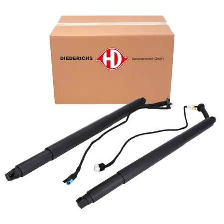 2x DIEDERICHS Heckklappend&auml;mpfer Stellmotor Heckklappe f&uuml;r BMW X6 F16 X6M F86