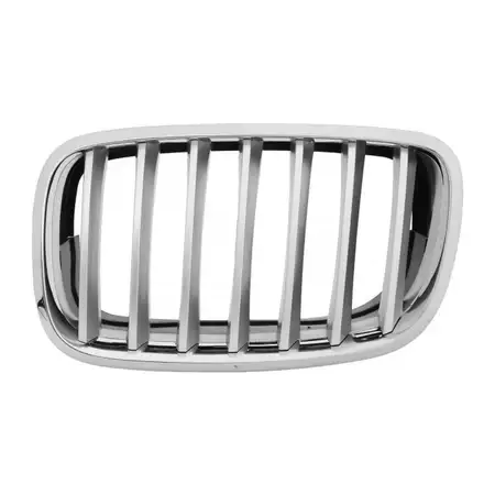 DIEDERICHS L&uuml;ftungsgitter K&uuml;hlergrill grau silber f&uuml;r BMW X5 E70 links 51137307599