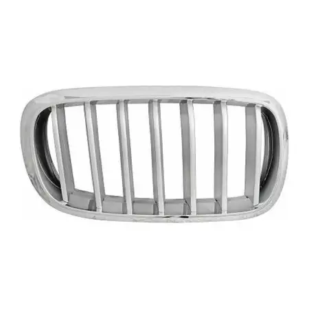 DIEDERICHS L&uuml;ftungsgitter K&uuml;hlergrill grau/silber f&uuml;r BMW X5 F15 rechts 51117303108