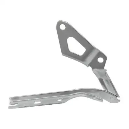 DIEDERICHS Motorhaubenscharnier Haubenscharnier f&uuml;r VW Tiguan AD1 links 5NG823301B