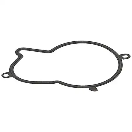 ELRING 793.480 Dichtung Einspritzpumpe f&uuml;r FIAT FORD OPEL PSA TOYOTA 2.0/2.2D