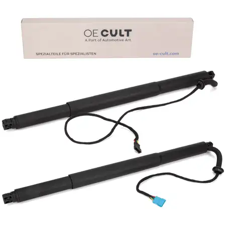 2x OE-Cult Heckklappend&auml;mpfer Elektromotor f&uuml;r BMW X4 F26 51247339431+ 51247339432