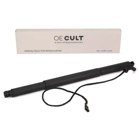 Heckklappend&auml;mpfer Elektromotor Gasfeder Heckklappe f&uuml;r BMW X4 F26 links 51247339431