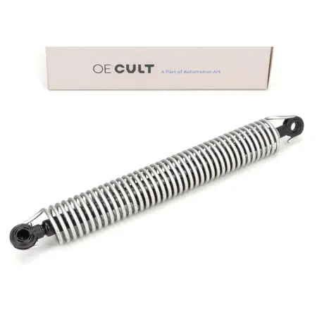 Zugfeder Federd&auml;mpfer Heck Kofferraumdeckel f&uuml;r BMW 5er F10 Limo hinten rechts 51247204367