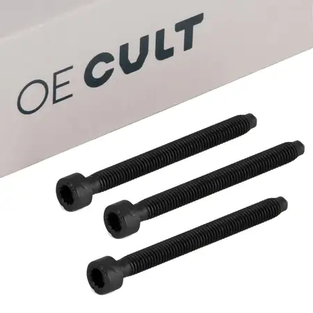 3x OE-Cult Justierschraube M6x64 Einspritzpumpe f&uuml;r AUDI SEAT SKODA VW 038103385A