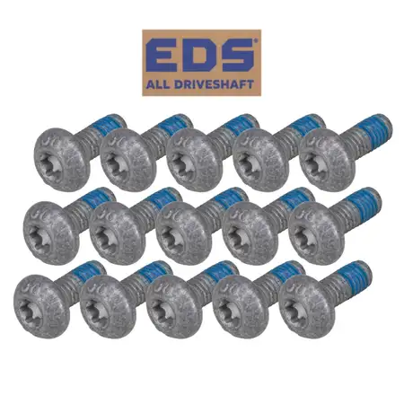 15x OE-Cult Linsenkopf Schraube Linsenkopfschraube M6x1x16 f&uuml;r VAG N91096702