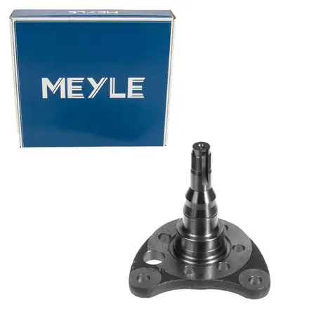 MEYLE Achsschenkel Radaufh&auml;ngung f&uuml;r VW Golf 2 3 Passat B3/B4 Polo SEAT 2 hinten rechts