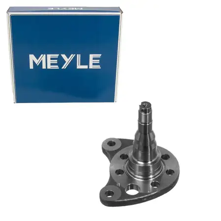 MEYLE Achsschenkel Radaufh&auml;ngung f&uuml;r VW Golf 2 3 Passat B3/B4 Polo SEAT 2 hinten links