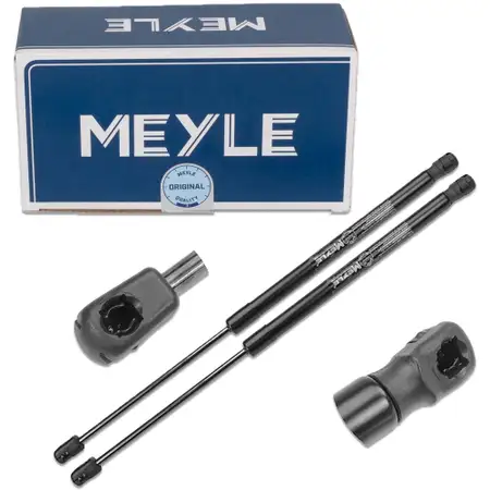 2x MEYLE 1409100025 Heckklappend&auml;mpfer D&auml;mpfer Heckklappe f&uuml;r AUDI A6 S6 RS6 Avant/Allroad