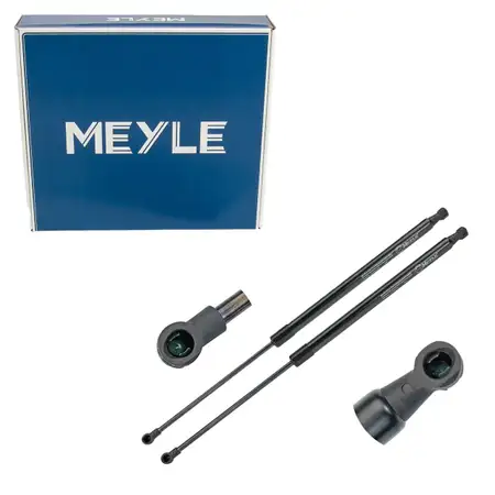 2x MEYLE 16409100036 Heckklappend&auml;mpfer Gasfeder f&uuml;r RENAULT Grand/Scenic 3 904500004R