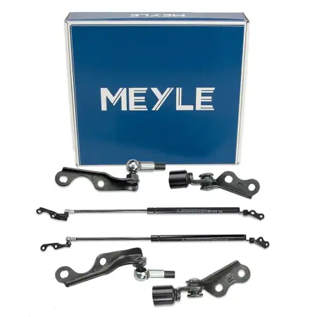 2x MEYLE Heckklappend&auml;mpfer Gasfeder D&auml;mpfer Heckklappe f&uuml;r TOYOTA Yaris P1 hinten