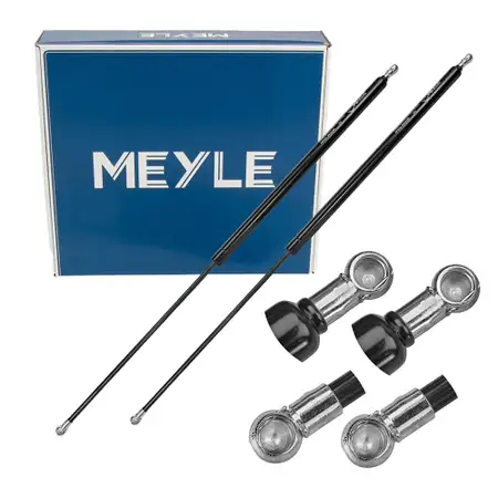 2x MEYLE 5409100013 Heckklappend&auml;mpfer D&auml;mpfer Heckklappe f&uuml;r VOLVO S80 1 184 9483297