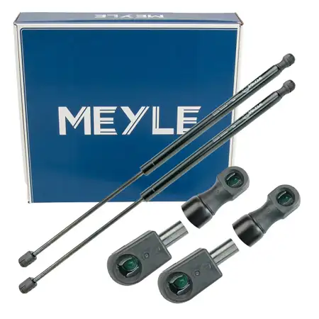 2x MEYLE 7409100040 Heckklappend&auml;mpfer D&auml;mpfer Heckklappe f&uuml;r FORD Fiesta 6 MK6 1666068