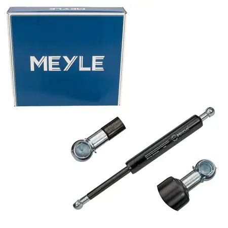 MEYLE 0409100003 Heckklappend&auml;mpfer f&uuml;r MERCEDES-BENZ R-Klasse W251 V251 links 2517400045