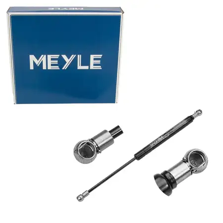 MEYLE 0409100013 Heckklappend&auml;mpfer f&uuml;r SMART City-Coupe ForTWo Coupe 450 0000618V007