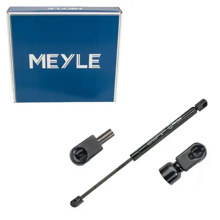 MEYLE 1409100034 Heckklappend&auml;mpfer D&auml;mpfer Heckklappe f&uuml;r VW Passat B6 3C2 3C5827550B