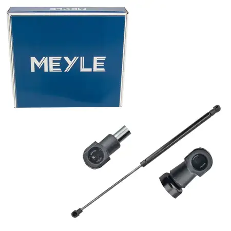 MEYLE 1409100119 Heckklappend&auml;mpfer D&auml;mpfer Heckklappe f&uuml;r AUDI A6 C7 4G2 4GC 4G5827919