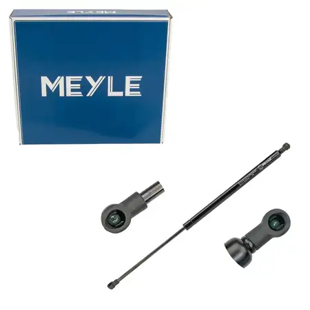 MEYLE 16-409100028 Heckklappend&auml;mpfer D&auml;mpfer Heck f&uuml;r RENAULT Modus Grand 8200219322