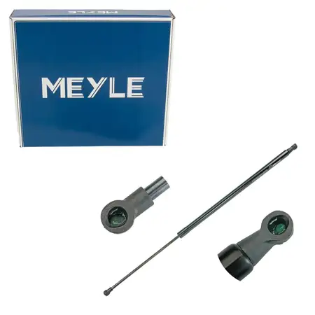 MEYLE 16-409100034 Heckklappend&auml;mpfer D&auml;mpfer f&uuml;r RENAULT Scenic 3 Grand 3 904517337R