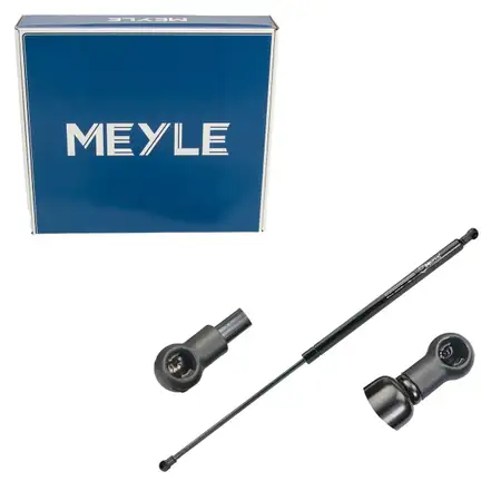 MEYLE 16-409100031 Heckklappend&auml;mpfer D&auml;mpfer Heck f&uuml;r RENAULT Laguna 3 844300004R