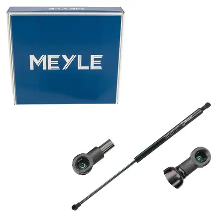 MEYLE 16-409100032 Heckklappend&auml;mpfer D&auml;mpfer Heckklappe f&uuml;r RENAULT Laguna 3 844300001R