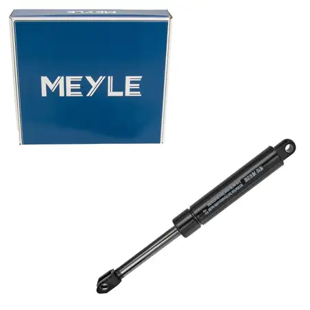 MEYLE 2401610180 Heckklappend&auml;mpfer f&uuml;r MERCEDES-BENZ 124 E-Klasse T-Model S124 1249800164