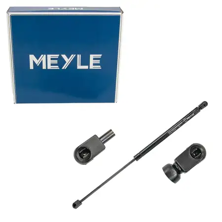 MEYLE 2409100025 Heckklappend&auml;mpfer D&auml;mpfer Heckklappe f&uuml;r FIAT Bravo 2 198 51812267