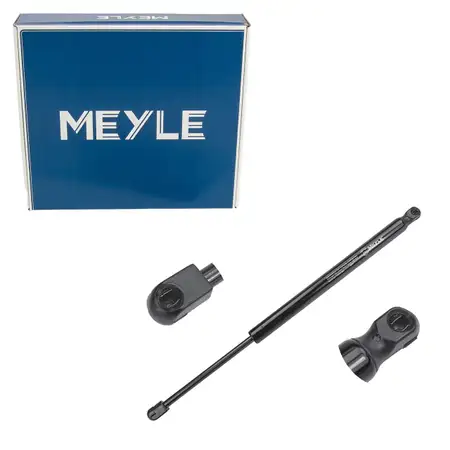 MEYLE Heckklappend&auml;mpfer D&auml;mpfer f&uuml;r FORD Focus 1 DAW DBW bis Bj. 12.2002 1070024