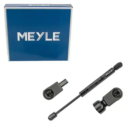 MEYLE 7409100038 Heckklappend&auml;mpfer D&auml;mpfer Heckklappe f&uuml;r FORD Focus 2 Stufenheck 1336159