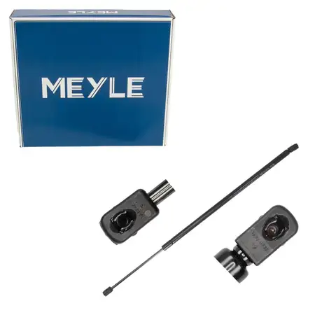 MEYLE 70409100001 Heckklappend&auml;mpfer D&auml;mpfer Heckklappe f&uuml;r TESLA Model S 5YJS 6009427