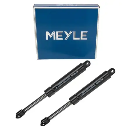 2x MEYLE 2401610180 Heckklappend&auml;mpfer f&uuml;r MERCEDES-BENZ E-Klasse T-Model S124 1249800164