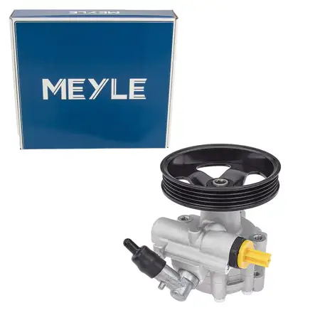 MEYLE Hydraulikpumpe Lenkung f&uuml;r CITROEN Jumper 1 PEUGEOT Boxer 2.0/2.2 FIAT 2.0 JTD