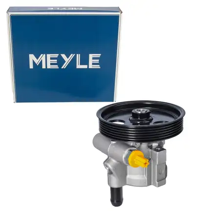 MEYLE Hydraulikpumpe Lenkung f&uuml;r RENAULT Megane 1 Clio 2 Kangoo Scenic 1 DACIA 1.4-1.6
