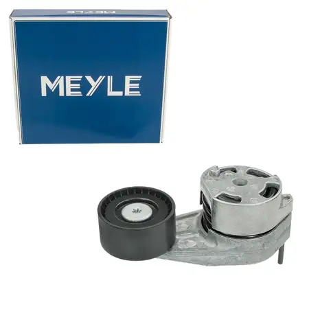MEYLE 3009031122 Riemenspanner Spannarm f&uuml;r BMW 1er F20 F21 3er F30 F80 F31 1.6 N13 B16