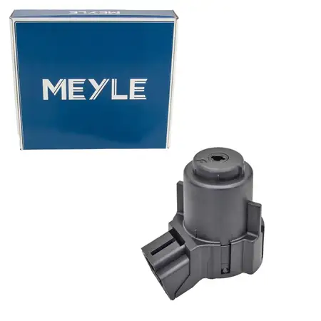 MEYLE Z&uuml;ndschalter Z&uuml;ndungsschalter f&uuml;r SEAT SKODA Fabia 2 VW T5 T6 7E0905865
