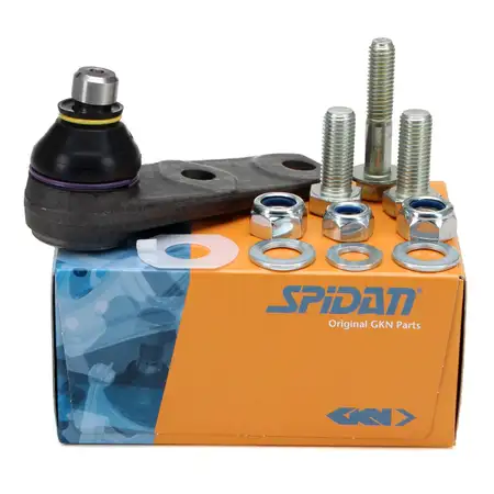 Traggelenk f&uuml;r RENAULT Clio 2 Kangoo Megane 1 Scenic 1 Thalia 1 2 vorne unten