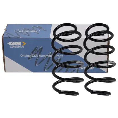 2x SPIDAN 56674 Fahrwerksfeder f&uuml;r VW Passat B6 B7 Touran SKODA Superb 2 vorne 1K0411105BP