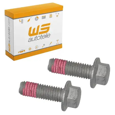 2x Schraube Bolzen Bremssattel f&uuml;r FORD Tourneo Custom / Transit V362 V363 vorne 1487793