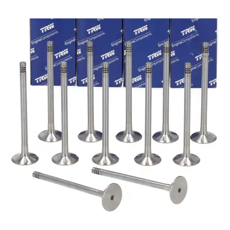 12x TRW 111113 Exhaust Valve for BMW E46, E90 (2003&ndash;2009), E39, E60/61, E63/64, X3 (2006&ndash;2013), M57, N57, 11342247077